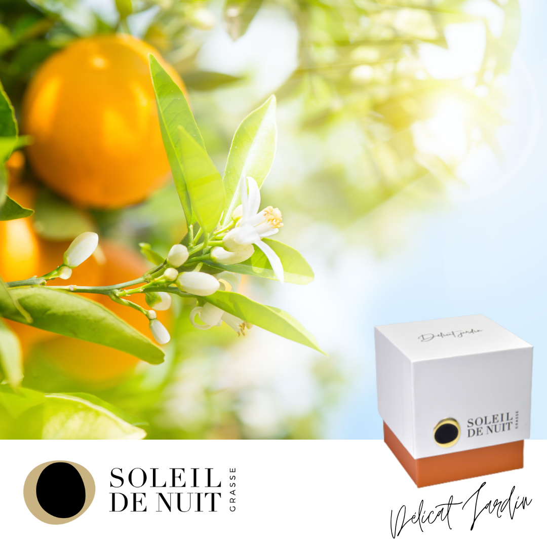  Delicat jardin <br> candle
